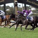 Local horse wins Auckland Cup at Pukekohe