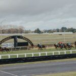 Star horses feature at Pukekohe’s Melb Cup meet