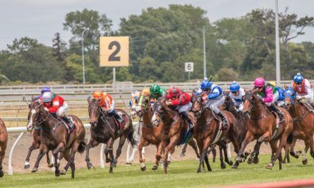 Counties Racing Club merger to go to a vote