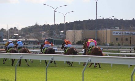 Counties Racing Club votes yes on merger
