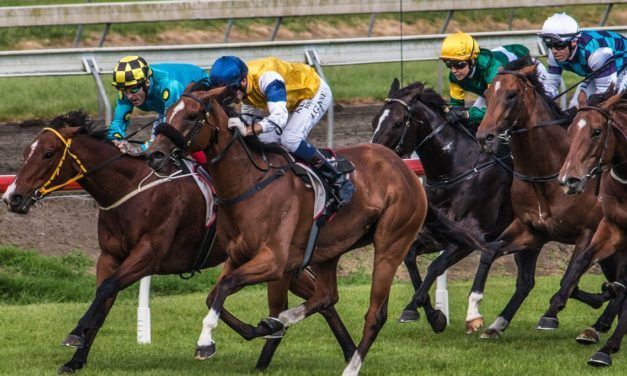 Pukekohe to host Auckland-only meeting