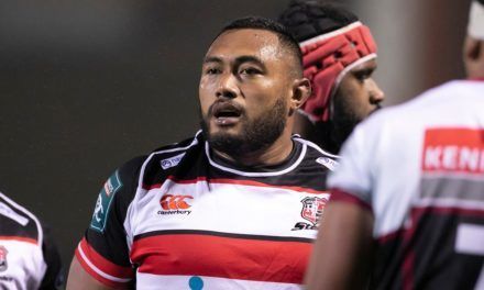 14 Steelers named in Super Rugby squads