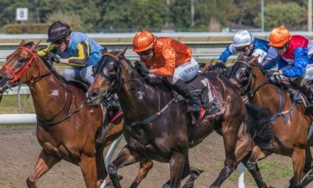 Counties Cup Day moved to Te Rapa