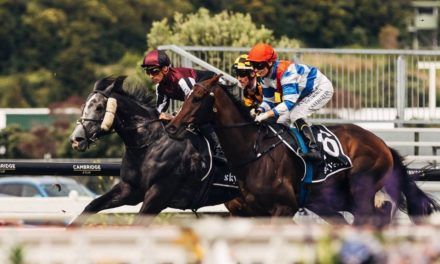 Pukekohe set to host Boxing Day races in 2022