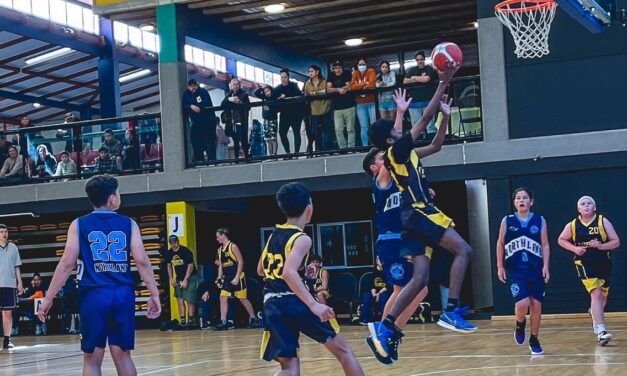 Auckland Council responds to basketball rift