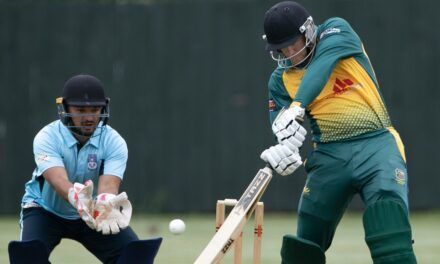 Counties Sports Hub to livestream T20 final