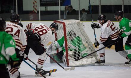 Swarm sweep Red Devils to stay top of NZIHL
