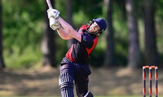 Counties Manukau unable to challenge at T20