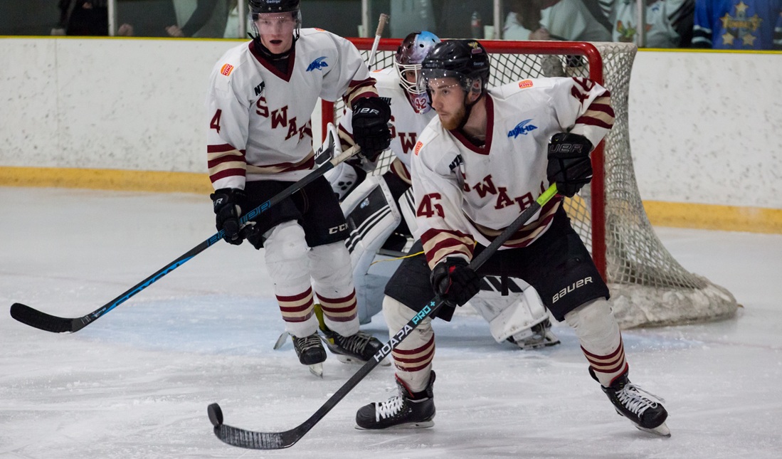 Swarm split weekend series with Admirals - Counties Sports Hub